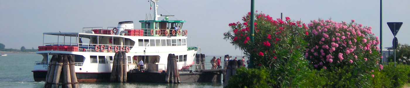 Venice by motorboat